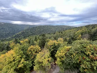 Photo from trip Krynica Zdrój