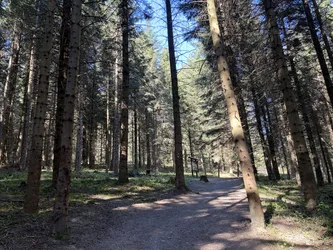 Ustrzyki Dolne, Poland – Apple iPhone 17