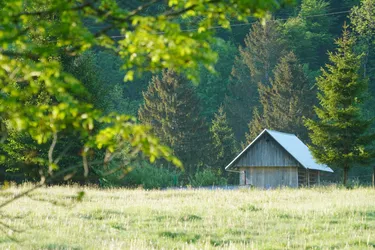 Bohinjska Bistrica, Slovenia – SONY ZV-E10 – Sony FE 70-300mm F4.5-5.6 G OSS