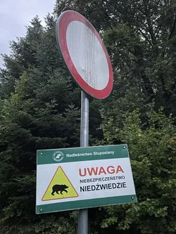 Lutowiska, Poland – Apple iPhone 12