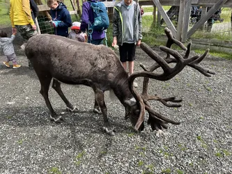 Dale, Norway – Apple iPhone 13