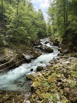 Blejska Dobrava, Slovenia – Apple iPhone 17