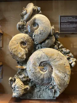 Vienna, Austria – Apple iPhone 13