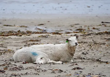 Vardø, Norway – SONY ZV-E10 – FE 70-300mm F4.5-5.6 G OSS