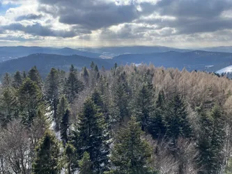 Favorite photo from trip Beskid Sądecki