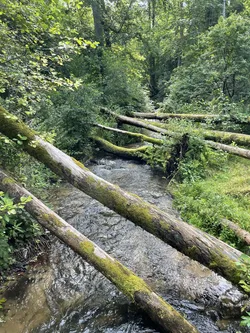 Oseredek, Poland – Apple iPhone 12