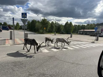 Inari, Finland – Apple iPhone 13