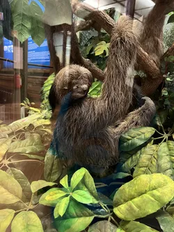 Vienna, Austria – Apple iPhone 13