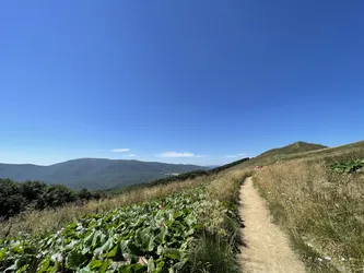 Photo from trip Bieszczady