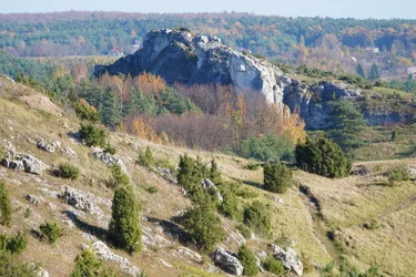 Photo from trip Jura Krakowsko-Częstochowska