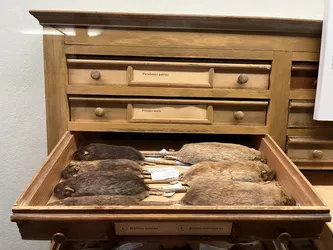 Vienna, Austria – Apple iPhone 13