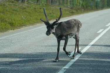 SONY ZV-E10 – Sony FE 70-300mm F4.5-5.6 G OSS