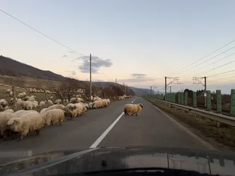 Mănărade, Romania – Apple iPhone 17