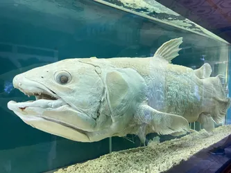 Vienna, Austria – Apple iPhone 13