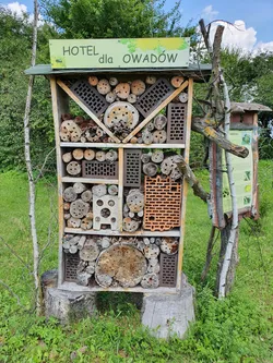 Zamość, Poland – samsung SM-G970F