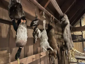 Evjen, Norway – Apple iPhone 13