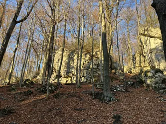 Photo from trip Jura Krakowsko-Częstochowska