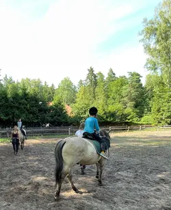 Zwierzyniec, Poland – Apple iPhone 12