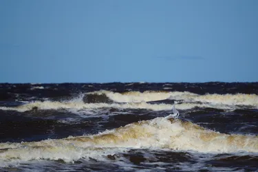 SONY ZV-E10 – Sony FE 70-300mm F4.5-5.6 G OSS