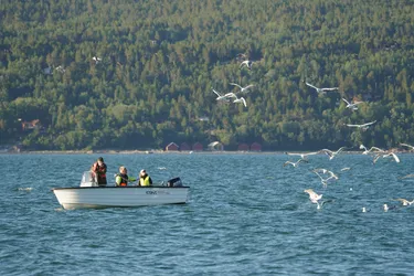 SONY ZV-E10 – Sony FE 70-300mm F4.5-5.6 G OSS