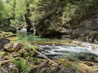 Blejska Dobrava, Slovenia – Apple iPhone 17