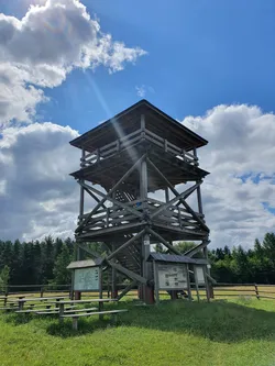Zwierzyniec, Poland – samsung SM-G970F