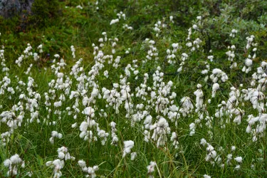 Vardø, Norway – SONY ZV-E10 – Sony FE 70-300mm F4.5-5.6 G OSS