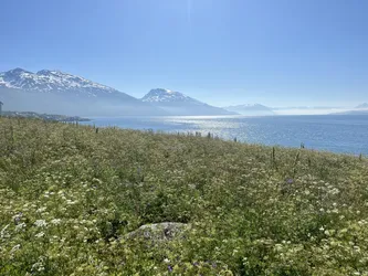 Olderdalen, Norway – Apple iPhone 13