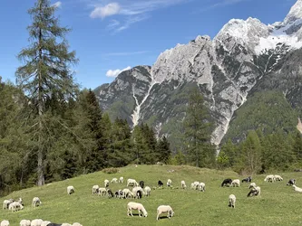 Kranjska Gora, Slovenia – Apple iPhone 17