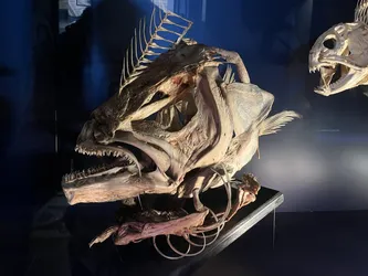 Vienna, Austria – Apple iPhone 13