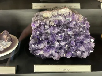 Vienna, Austria – Apple iPhone 13