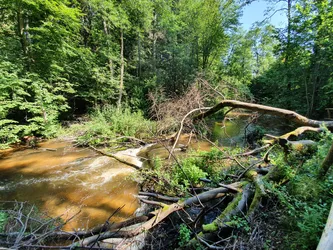 Susiec, Poland – samsung SM-G970F