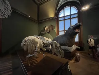 Vienna, Austria – Apple iPhone 13