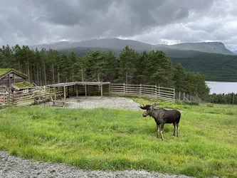 Dale, Norway – Apple iPhone 13