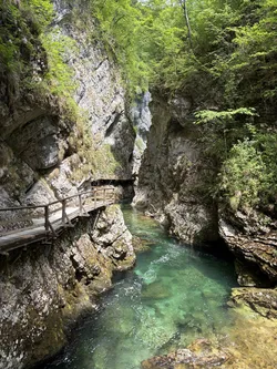 Blejska Dobrava, Slovenia – Apple iPhone 17