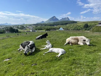 Evjen, Norway – Apple iPhone 13