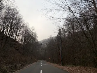 Negreia, Romania – Apple iPhone 17