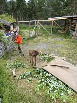 Dale, Norway – Apple iPhone 13