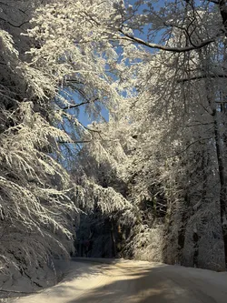Jugów, Poland – Apple iPhone 17