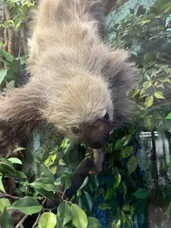 Vienna, Austria – Apple iPhone 13