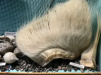 Kabelvåg, Norway – Apple iPhone 13