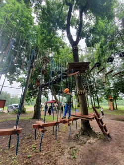 Zwierzyniec, Poland – samsung SM-G970F