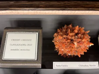 Vienna, Austria – Apple iPhone 13