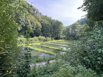 Photo from trip Ojców National Park