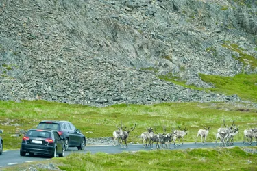 Vardø, Norway – SONY ZV-E10 – FE 70-300mm F4.5-5.6 G OSS