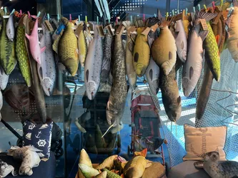 Tallinn, Estonia – Apple iPhone 13