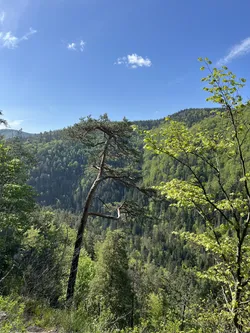 Photo from trip Slovenský raj