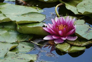 Gelgaudiškis, Lithuania – SONY ZV-E10 – FE 70-300mm F4.5-5.6 G OSS