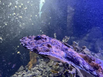 Kabelvåg, Norway – Apple iPhone 13