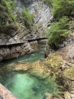 Blejska Dobrava, Slovenia – Apple iPhone 17
